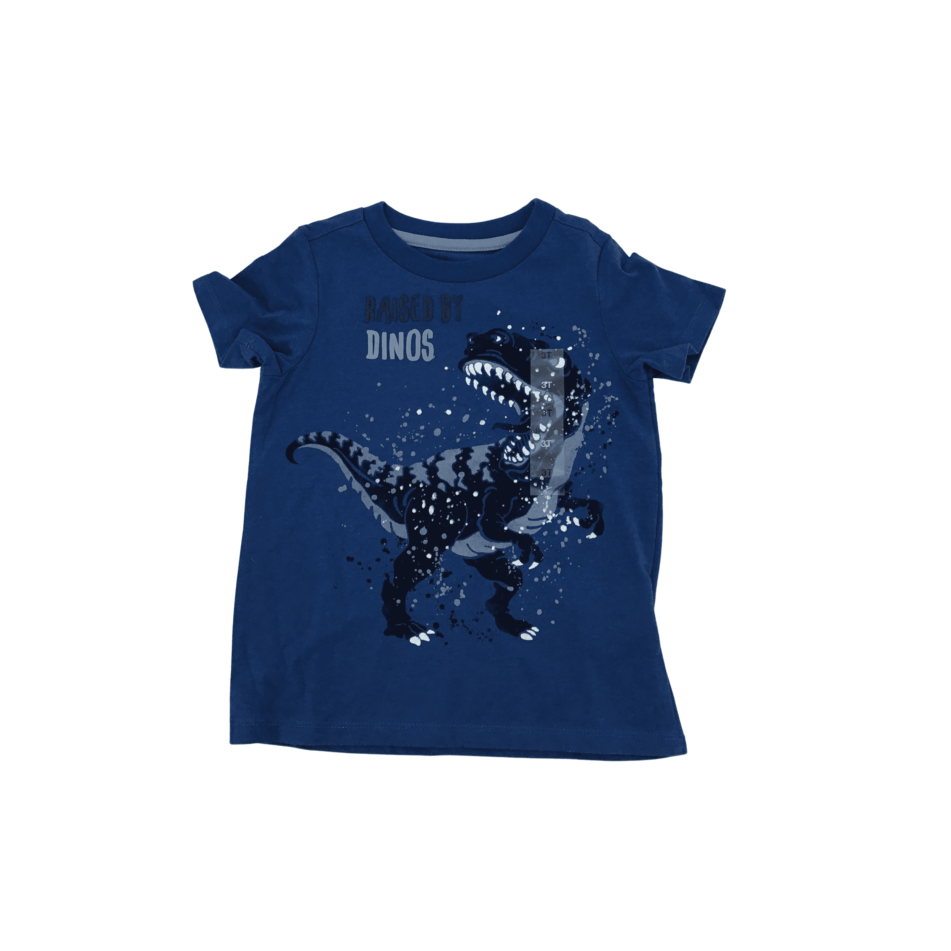 Epic Threads Boy's T-Shirt: Blue 3T" Raised By Dinos "
