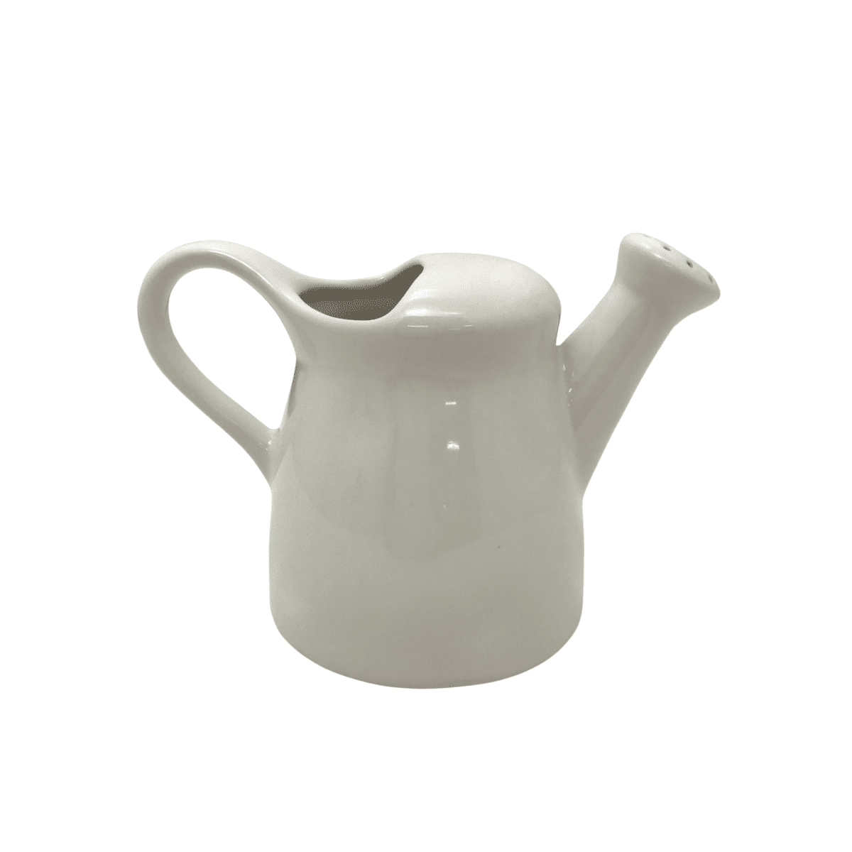 Rae Dunn Ceramic Watering Can Home Accent_03