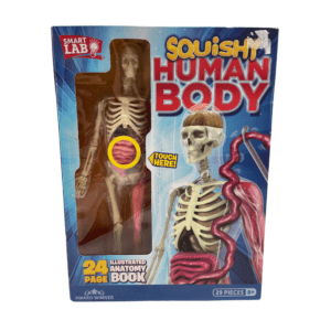 Smart Lab Squishy Human Body 3D Puzzle / 29 Pieces /  Illustrated Anatomy Book **DEALS**