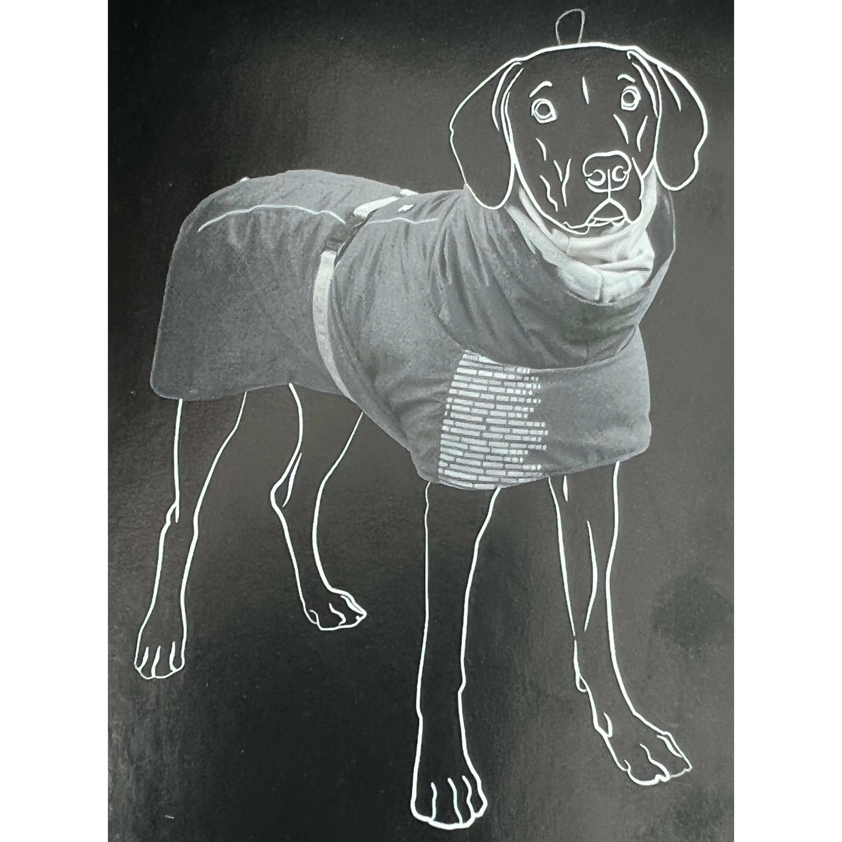 Hurtta Extreme Warmer Dog Thermal Winter Coat: Grey / Dog Jacket / 20"