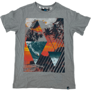 Amplify Boy's T-Shirt / Laguna Beach Theme / Grey / Various Sizes