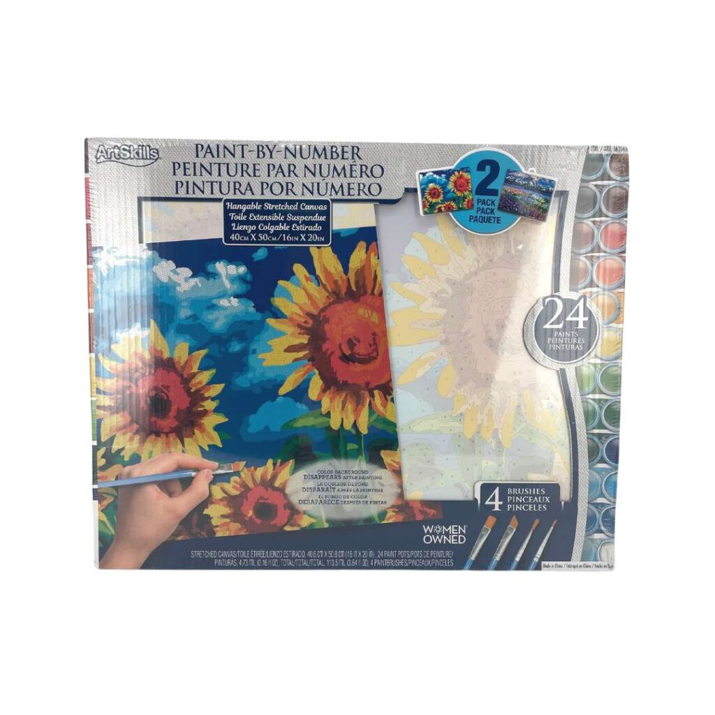 ArtSkills Paint By Number Canvas 2 Pack / DIY Art Set CanadaWide Liquidations