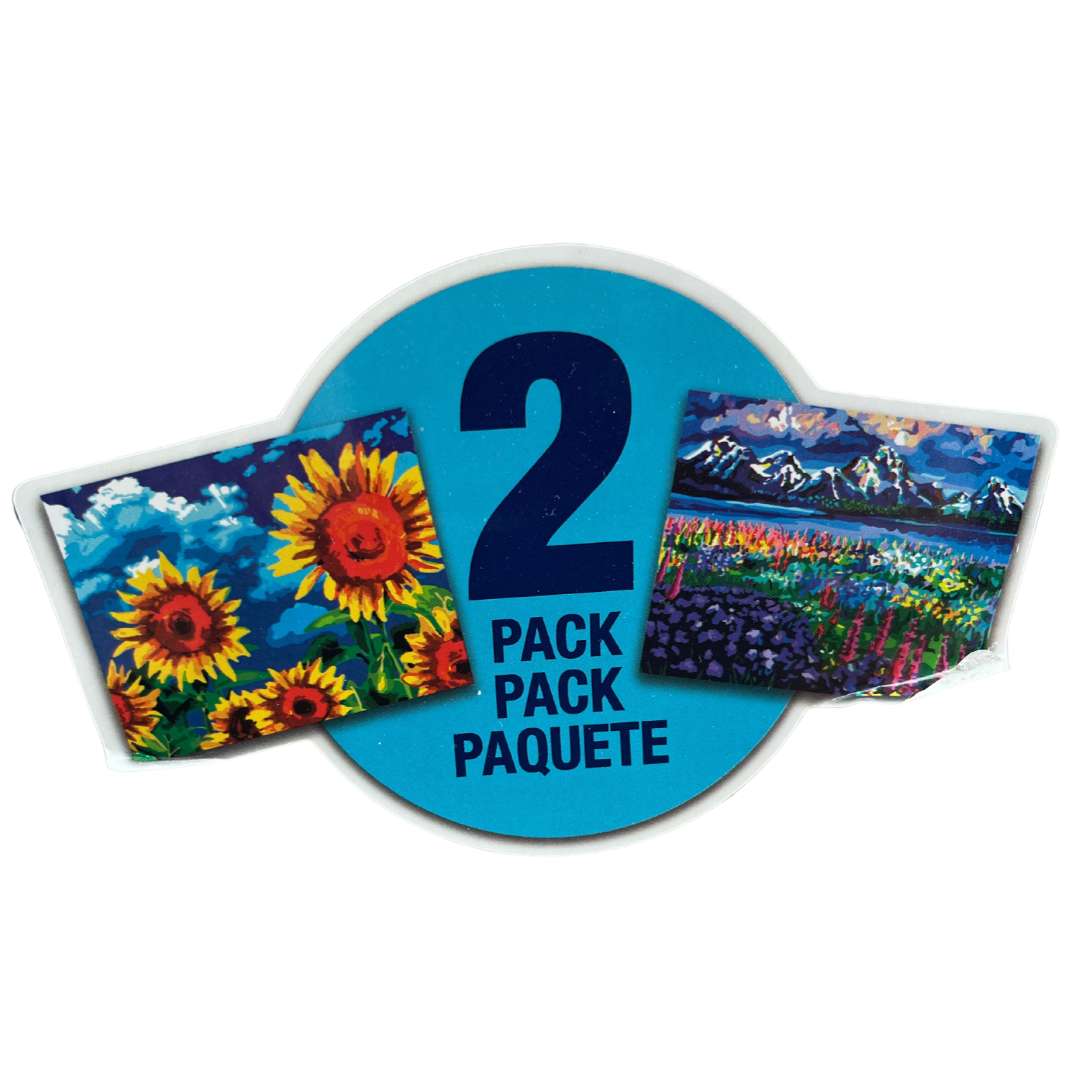 ArtSkills Paint By Number Canvas 2 Pack / DIY Art Set CanadaWide