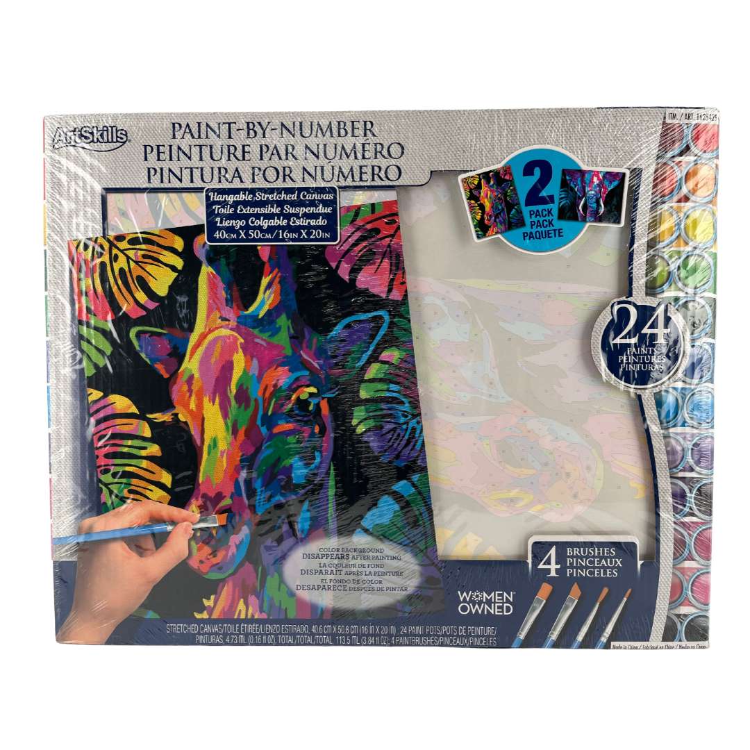 ArtSkills Paint By Number Canvas 2 Pack / DIY Art Set CanadaWide