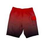 Hurley Boy's Swim Shorts 02
