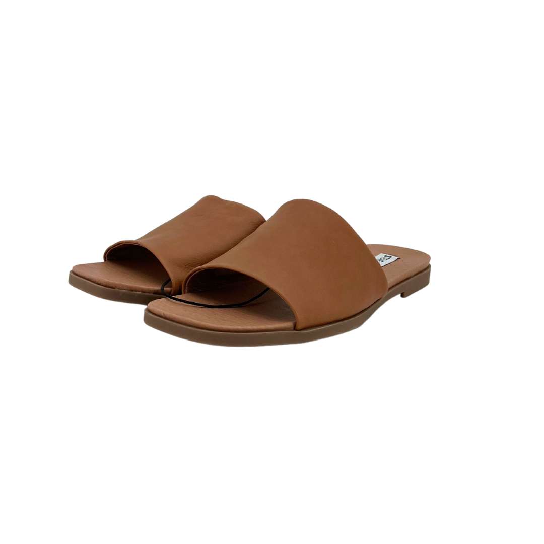 Brown Steve Madden Slide Sandals Steve Madden Women's Single Strap