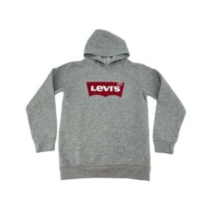 Levi's Boy's Grey Hoodie